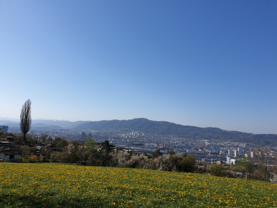 Foto mit Aussicht über Zürich