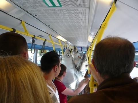 ÖV-Sardinen im Luzerner Bus